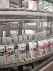 Producción suculenta