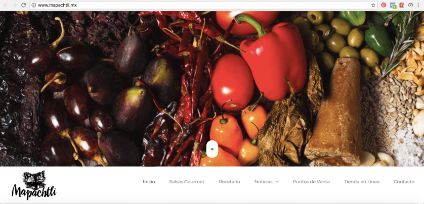 screenshot sitio web de Mapachtli